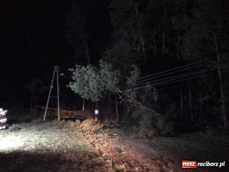 Zdjęcie w galerii na portalu naszraciborz.pl: Sprzątanie po wichurze. Spore szkody w lasach wiadomości z regionu