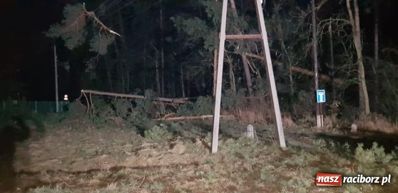 Zdjęcie w galerii na portalu naszraciborz.pl: Sprzątanie po wichurze. Spore szkody w lasach wiadomości z regionu