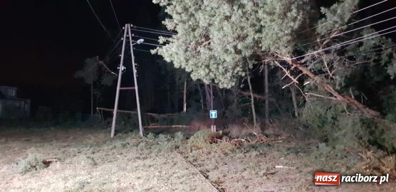 Zdjęcie w galerii na portalu naszraciborz.pl: Sprzątanie po wichurze. Spore szkody w lasach wiadomości z regionu