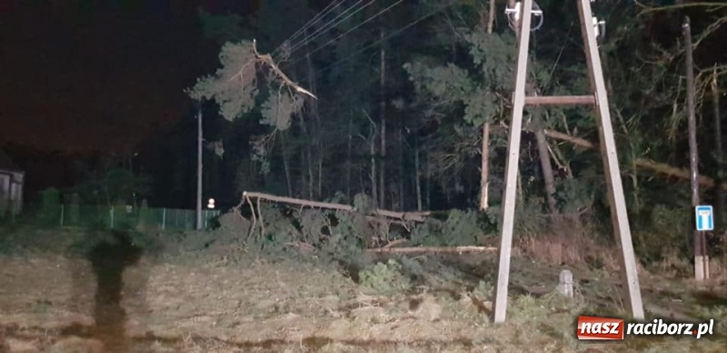Zdjęcie w galerii na portalu naszraciborz.pl: Sprzątanie po wichurze. Spore szkody w lasach wiadomości z regionu