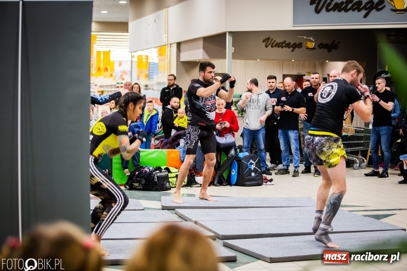 Zdjęcie w galerii na portalu naszraciborz.pl: Pokazowy trening przed galą MMA  wiadomości z regionu