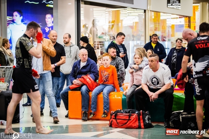 Zdjęcie w galerii na portalu naszraciborz.pl: Pokazowy trening przed galą MMA  wiadomości z regionu