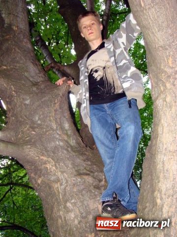 Zdjęcie w galerii na portalu naszraciborz.pl: Średniowieczny gród na Zamkowej wiadomości z regionu