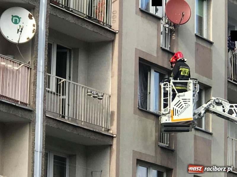 Zdjęcie w galerii na portalu naszraciborz.pl: Akcja strażaków na Opawskiej wiadomości z regionu