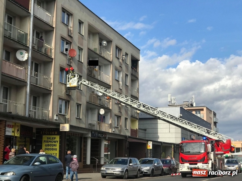 Zdjęcie w galerii na portalu naszraciborz.pl: Akcja strażaków na Opawskiej wiadomości z regionu