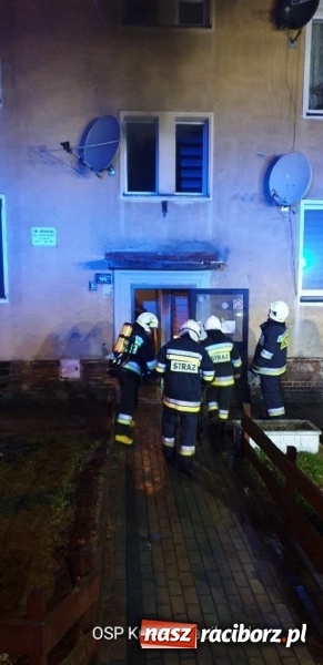 Zdjęcie w galerii na portalu naszraciborz.pl: Piroman z Kuźni Raciborskiej nie daje spokoju  wiadomości z regionu