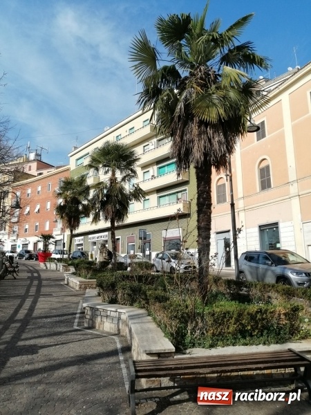 Zdjęcie w galerii na portalu naszraciborz.pl: Nauczyciele I LO podnoszą swoje kompetencje  wiadomości z regionu