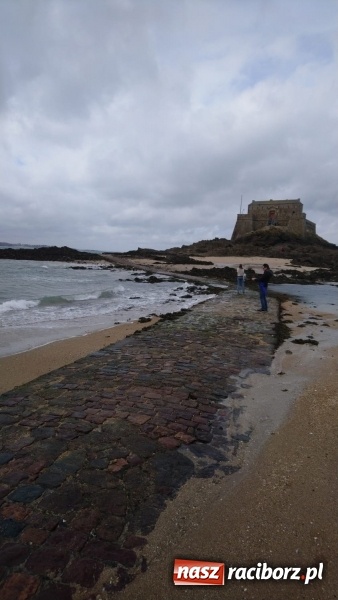 Zdjęcie w galerii na portalu naszraciborz.pl: Nauczyciele I LO podnoszą swoje kompetencje  wiadomości z regionu