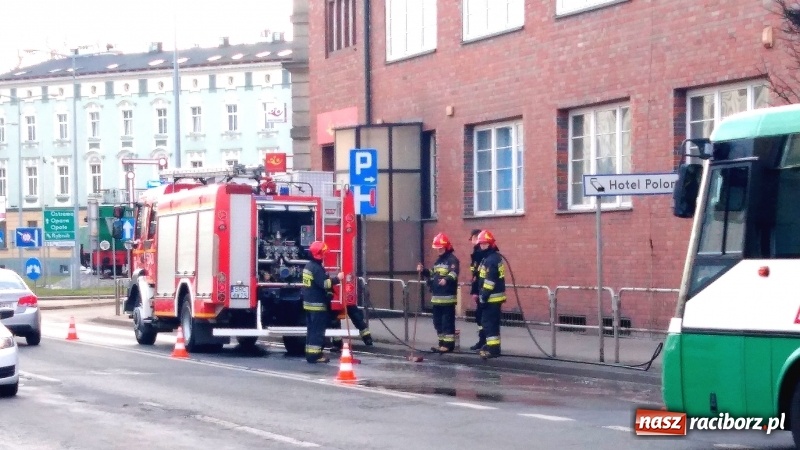 Zdjęcie w galerii na portalu naszraciborz.pl: Pożar na działkach przy Opawskiej w Raciborzu. Raport strażaków [FOTO] wiadomości z regionu