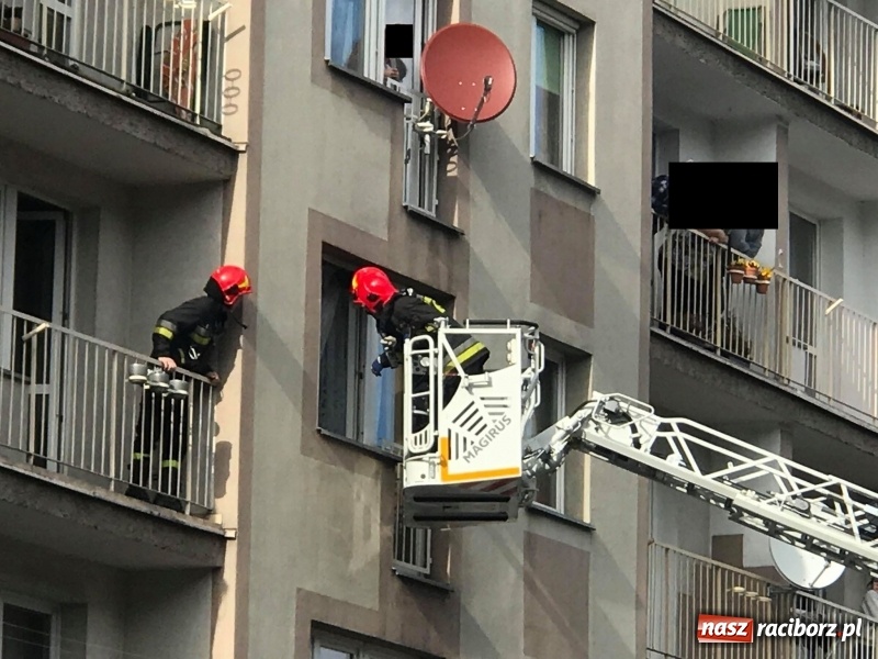 Zdjęcie w galerii na portalu naszraciborz.pl: Pożar na działkach przy Opawskiej w Raciborzu. Raport strażaków [FOTO] wiadomości z regionu