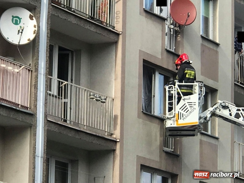 Zdjęcie w galerii na portalu naszraciborz.pl: Pożar na działkach przy Opawskiej w Raciborzu. Raport strażaków [FOTO] wiadomości z regionu