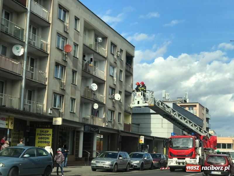 Zdjęcie w galerii na portalu naszraciborz.pl: Pożar na działkach przy Opawskiej w Raciborzu. Raport strażaków [FOTO] wiadomości z regionu