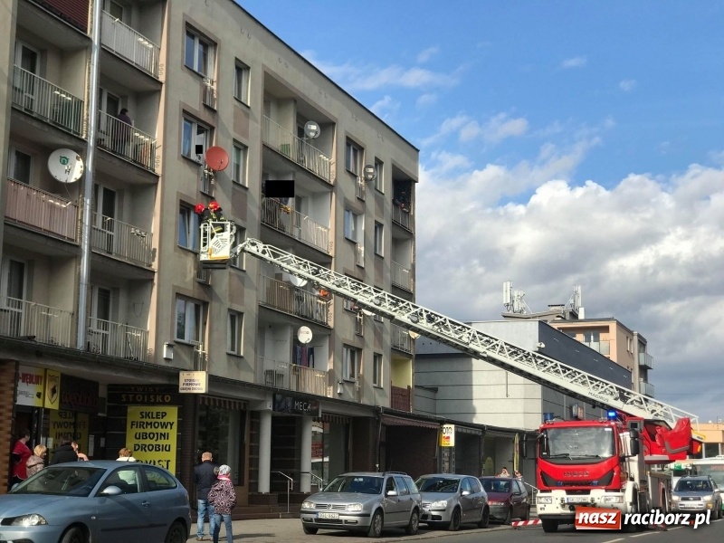 Zdjęcie w galerii na portalu naszraciborz.pl: Pożar na działkach przy Opawskiej w Raciborzu. Raport strażaków [FOTO] wiadomości z regionu
