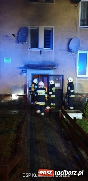 Zdjęcie w galerii na portalu naszraciborz.pl: Pożar na działkach przy Opawskiej w Raciborzu. Raport strażaków [FOTO] wiadomości z regionu