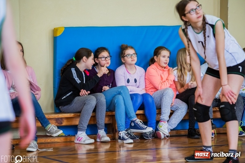 Zdjęcie w galerii na portalu naszraciborz.pl: Siatkarki SP 18 najlepsze w miejskich finałach wiadomości z regionu