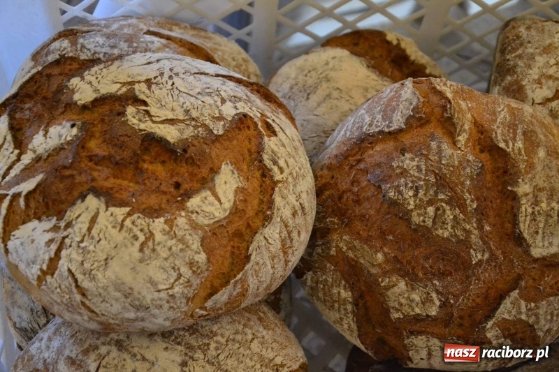 Zdjęcie w galerii na portalu naszraciborz.pl: Era Nowych Kobiet by Joanna Przetakiewicz na Zamku Piastowskim wiadomości z regionu
