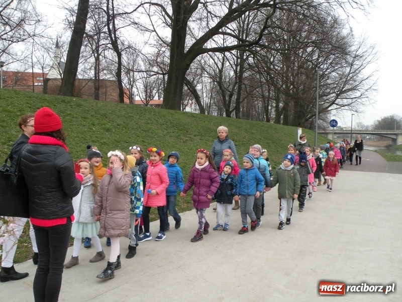 Zdjęcie w galerii na portalu naszraciborz.pl: Raciborskie przedszkolaki przegoniły zimę na przystani kajakowej wiadomości z regionu