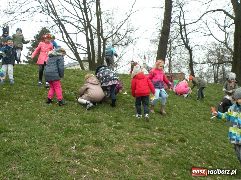 Zdjęcie w galerii na portalu naszraciborz.pl: Raciborskie przedszkolaki przegoniły zimę na przystani kajakowej wiadomości z regionu