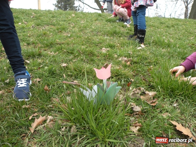 Zdjęcie w galerii na portalu naszraciborz.pl: Raciborskie przedszkolaki przegoniły zimę na przystani kajakowej wiadomości z regionu