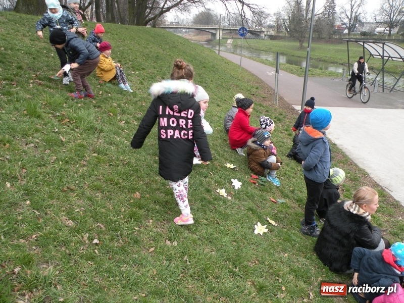 Zdjęcie w galerii na portalu naszraciborz.pl: Raciborskie przedszkolaki przegoniły zimę na przystani kajakowej wiadomości z regionu