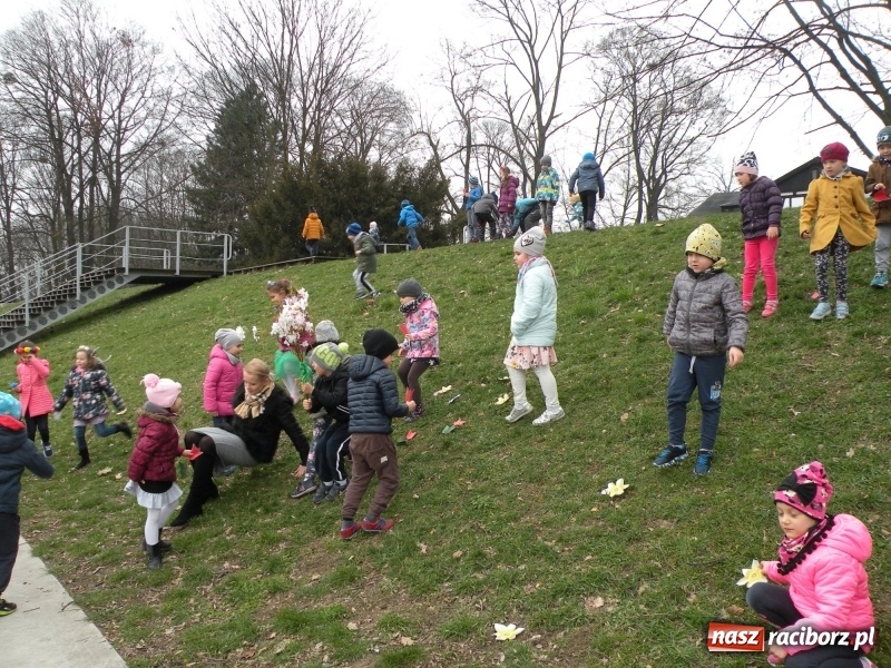 Zdjęcie w galerii na portalu naszraciborz.pl: Raciborskie przedszkolaki przegoniły zimę na przystani kajakowej wiadomości z regionu