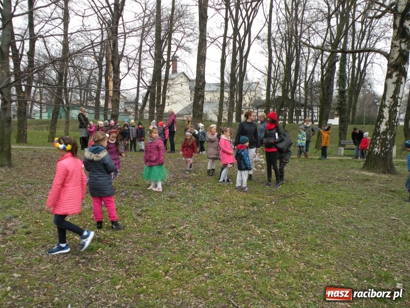 Zdjęcie w galerii na portalu naszraciborz.pl: Raciborskie przedszkolaki przegoniły zimę na przystani kajakowej wiadomości z regionu