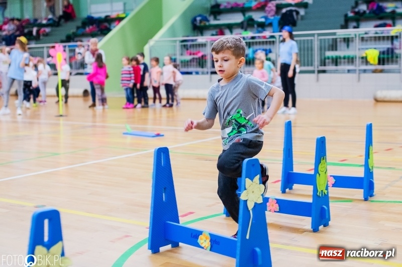 Zdjęcie w galerii na portalu naszraciborz.pl: Raciborscy przedszkolacy powitali wiosnę na sportowo wiadomości z regionu