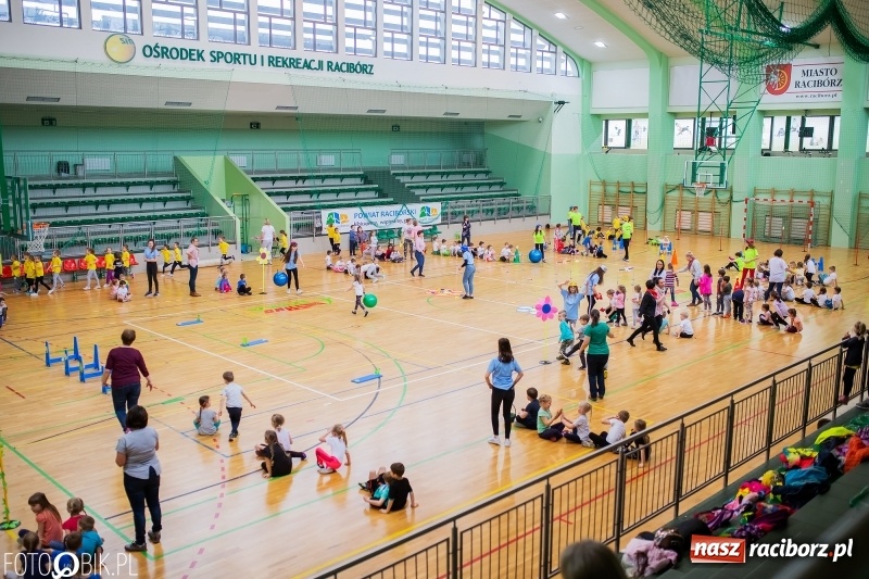 Zdjęcie w galerii na portalu naszraciborz.pl: Raciborscy przedszkolacy powitali wiosnę na sportowo wiadomości z regionu