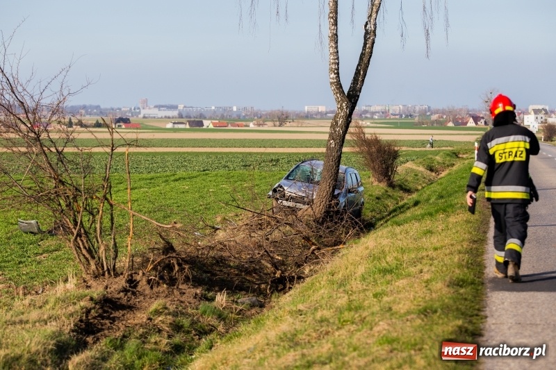 Zdjęcie w galerii na portalu naszraciborz.pl: Pilny komunikat policji w związku z wypadkiem na DW 917  wiadomości z regionu