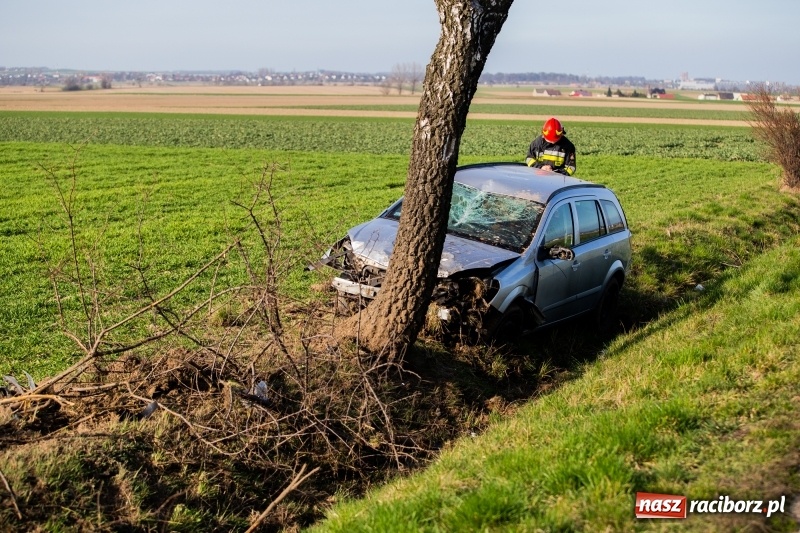 Zdjęcie w galerii na portalu naszraciborz.pl: Pilny komunikat policji w związku z wypadkiem na DW 917  wiadomości z regionu