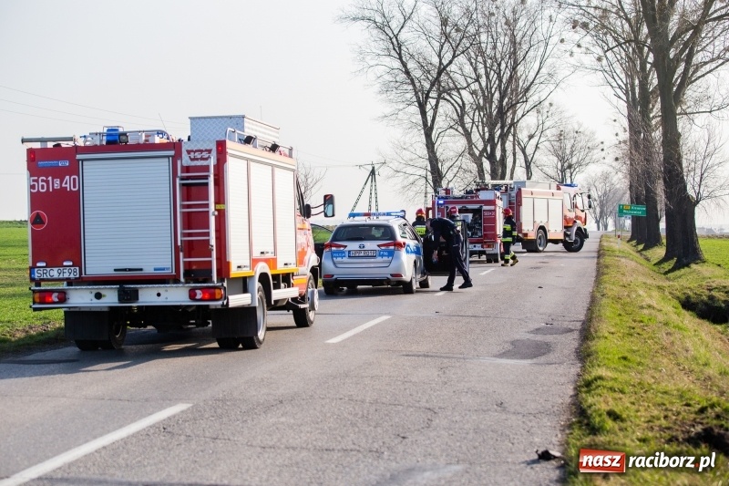 Zdjęcie w galerii na portalu naszraciborz.pl: Pilny komunikat policji w związku z wypadkiem na DW 917  wiadomości z regionu