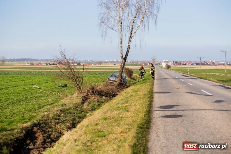 Zdjęcie w galerii na portalu naszraciborz.pl: Pilny komunikat policji w związku z wypadkiem na DW 917  wiadomości z regionu