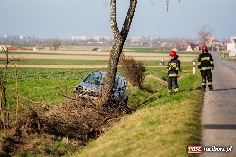 Zdjęcie w galerii na portalu naszraciborz.pl: Pilny komunikat policji w związku z wypadkiem na DW 917  wiadomości z regionu