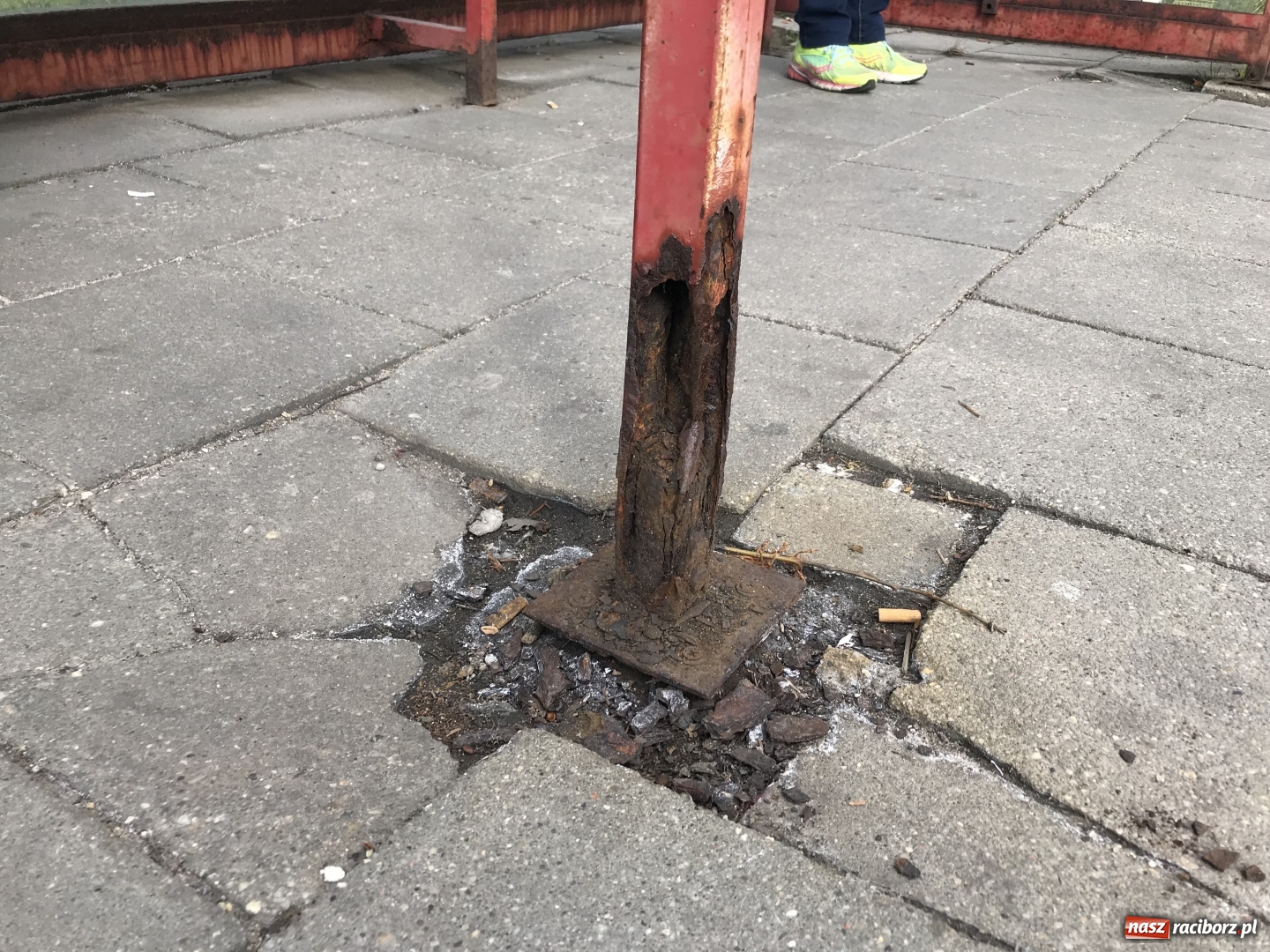 Zdjęcie w galerii na portalu naszraciborz.pl: Tak wichura radzi sobie z przystankami. Kolejny zagraża życiu i zdrowiu! [ZDJĘCIA] wiadomości z regionu