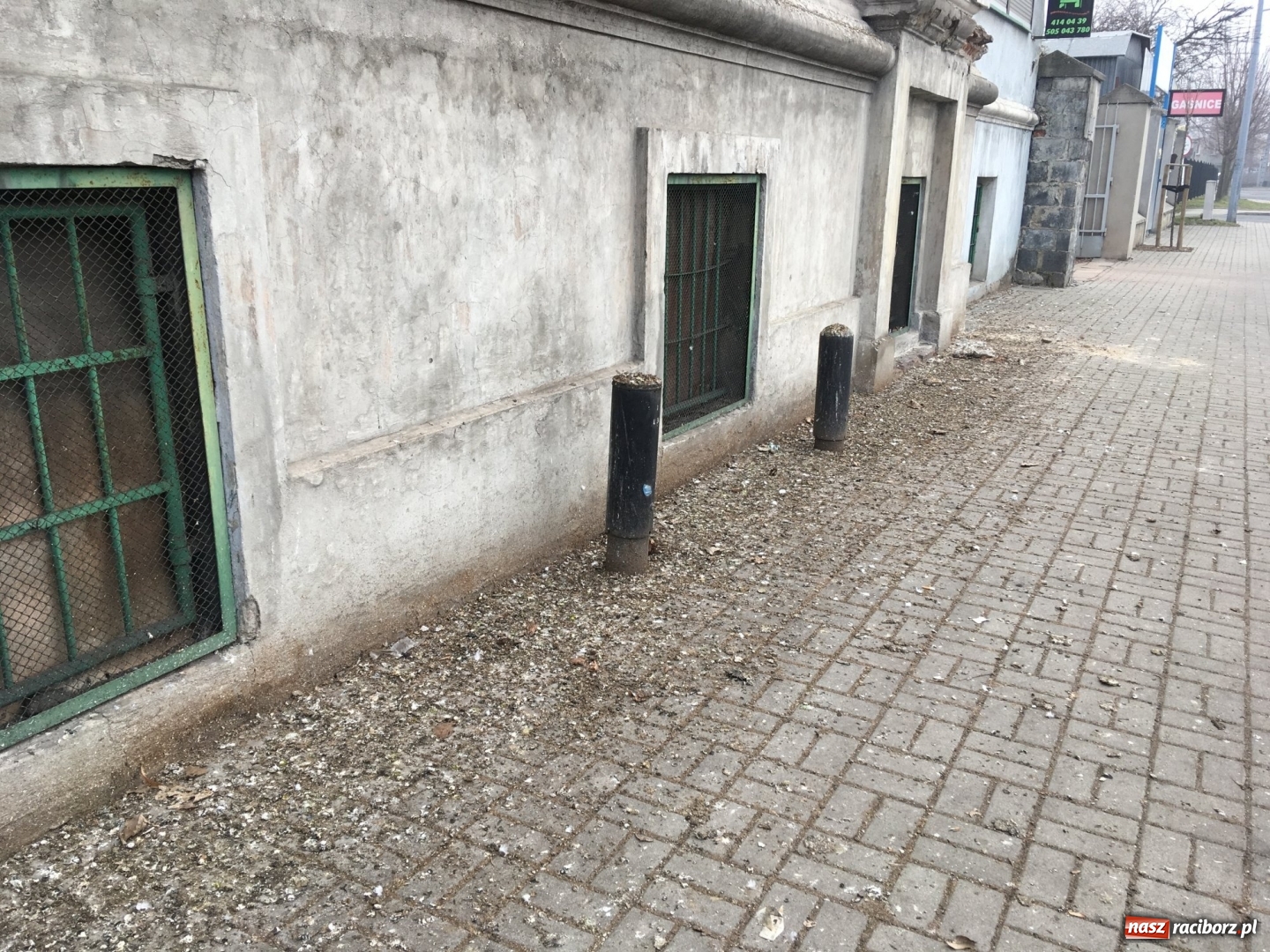 Zdjęcie w galerii na portalu naszraciborz.pl: Czy to normalne? Taki widok w centrum miasta  wiadomości z regionu