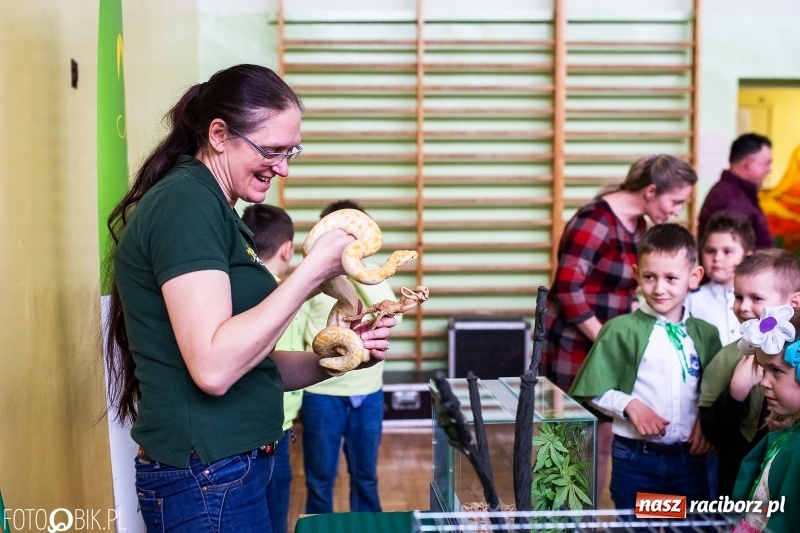 Zdjęcie w galerii na portalu naszraciborz.pl: Kiermasz Wielkanocny w Zespole Szkolno-Przedszkolnym w Borucinie wiadomości z regionu
