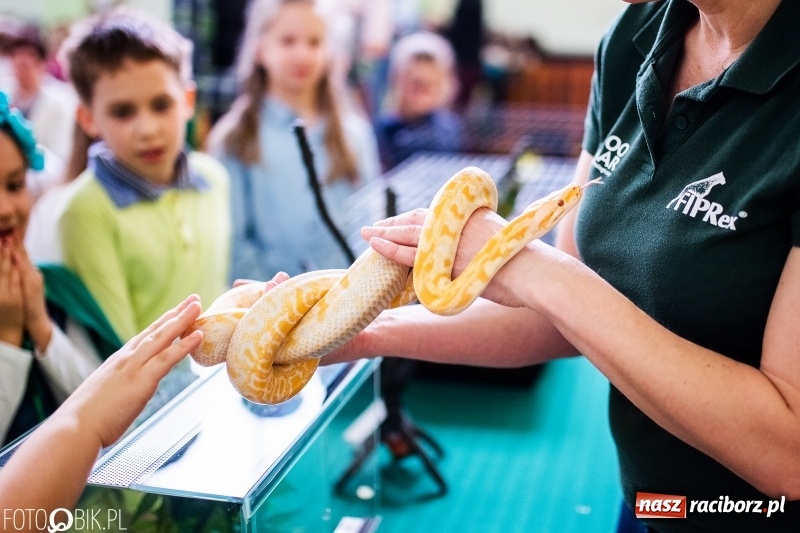 Zdjęcie w galerii na portalu naszraciborz.pl: Kiermasz Wielkanocny w Zespole Szkolno-Przedszkolnym w Borucinie wiadomości z regionu