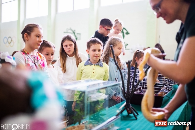 Zdjęcie w galerii na portalu naszraciborz.pl: Kiermasz Wielkanocny w Zespole Szkolno-Przedszkolnym w Borucinie wiadomości z regionu