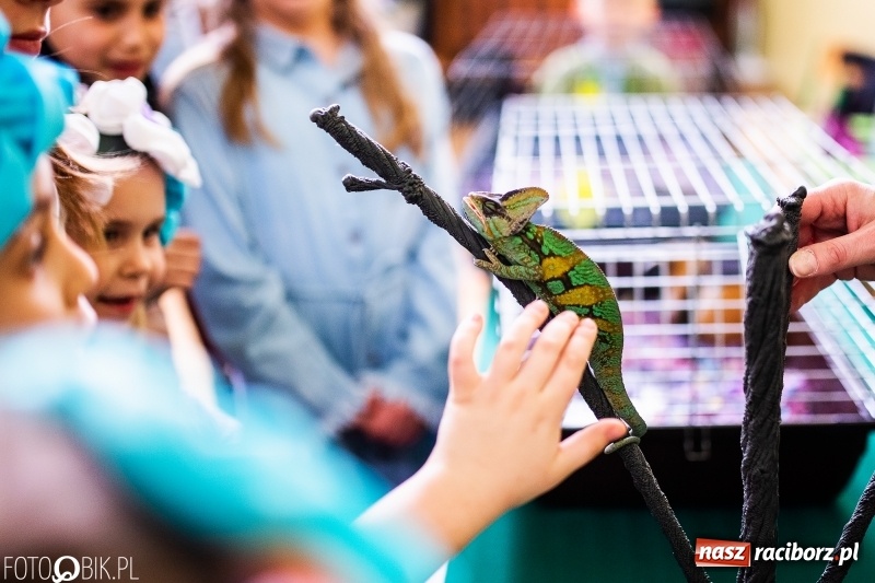 Zdjęcie w galerii na portalu naszraciborz.pl: Kiermasz Wielkanocny w Zespole Szkolno-Przedszkolnym w Borucinie wiadomości z regionu