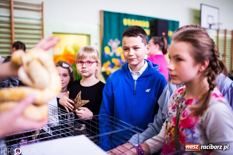 Zdjęcie w galerii na portalu naszraciborz.pl: Kiermasz Wielkanocny w Zespole Szkolno-Przedszkolnym w Borucinie wiadomości z regionu
