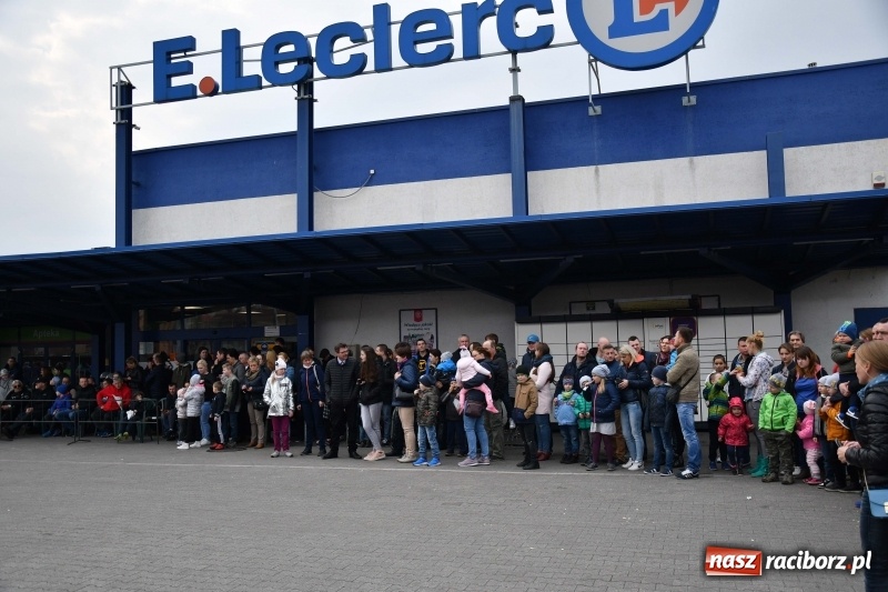 Zdjęcie w galerii na portalu naszraciborz.pl: Monster Truck Show w Raciborzu [FOTO]  wiadomości z regionu