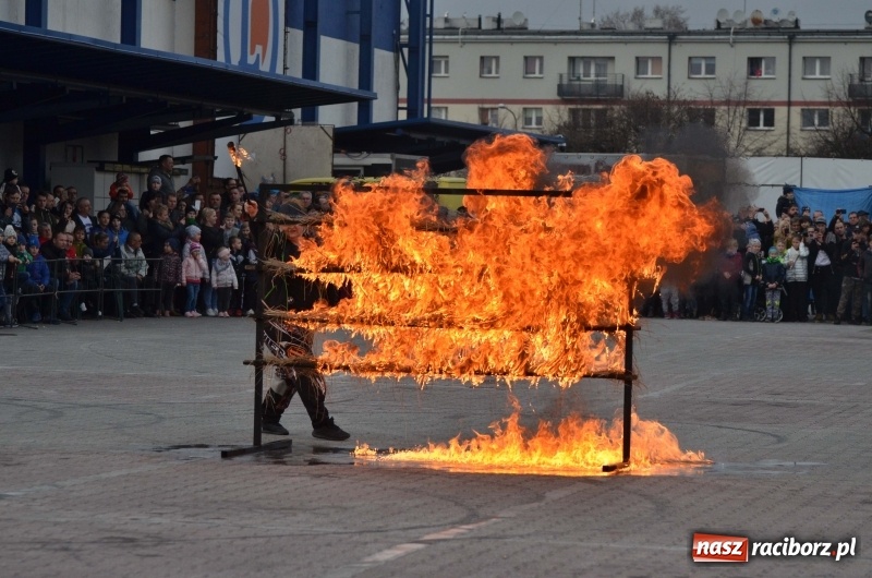 Zdjęcie w galerii na portalu naszraciborz.pl: Monster Truck Show w Raciborzu [FOTO]  wiadomości z regionu