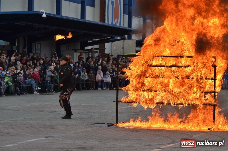 Zdjęcie w galerii na portalu naszraciborz.pl: Monster Truck Show w Raciborzu [FOTO]  wiadomości z regionu