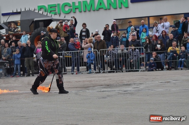 Zdjęcie w galerii na portalu naszraciborz.pl: Monster Truck Show w Raciborzu [FOTO]  wiadomości z regionu