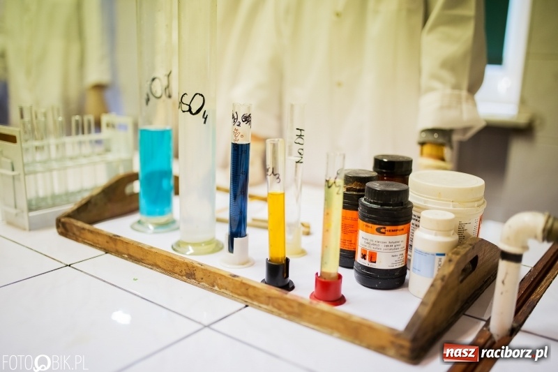 Zdjęcie w galerii na portalu naszraciborz.pl: Alicja w Krainie Czarów, czyli podejmij naukę w Kasprowiczu wiadomości z regionu