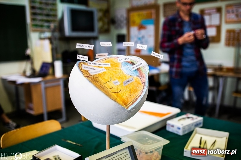 Zdjęcie w galerii na portalu naszraciborz.pl: Alicja w Krainie Czarów, czyli podejmij naukę w Kasprowiczu wiadomości z regionu