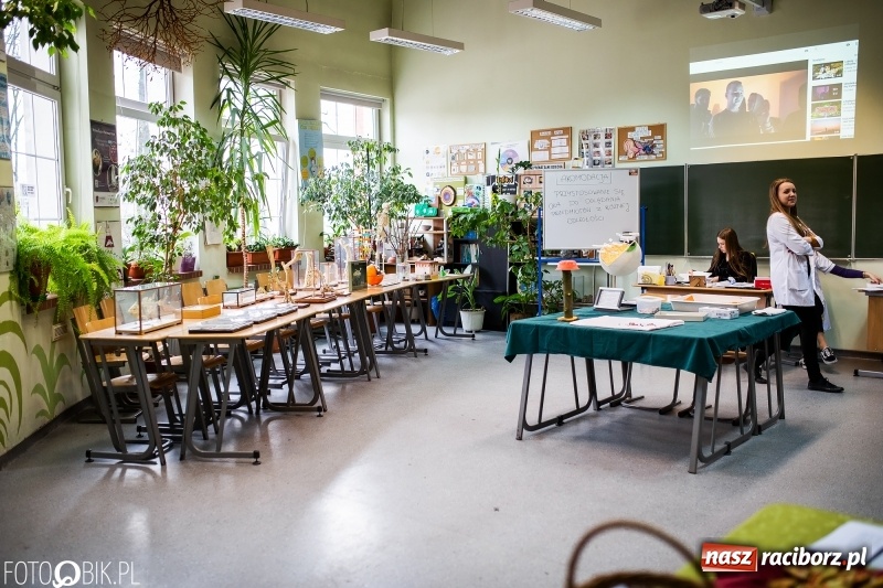 Zdjęcie w galerii na portalu naszraciborz.pl: Alicja w Krainie Czarów, czyli podejmij naukę w Kasprowiczu wiadomości z regionu