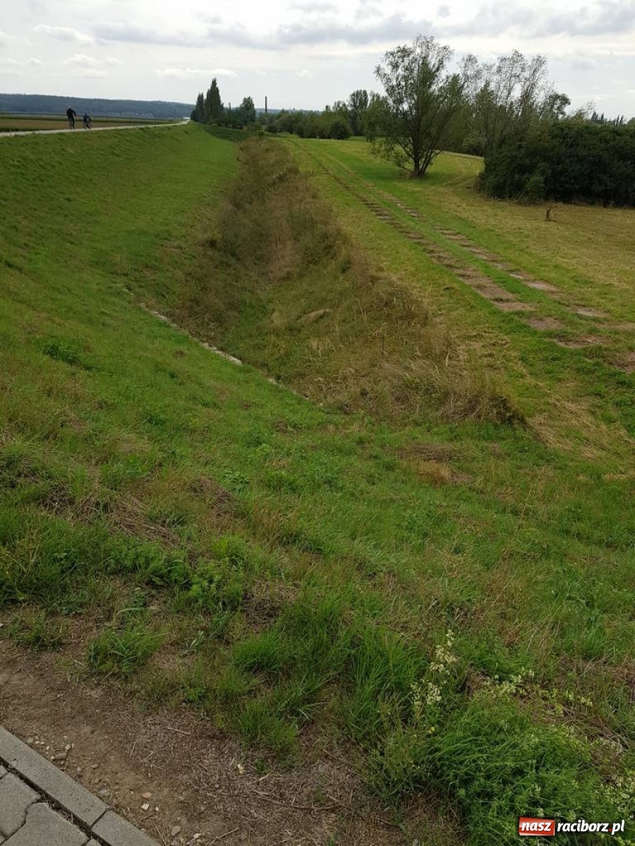 Zdjęcie w galerii na portalu naszraciborz.pl: A po cholerę! Radni o braku poszanowania dla pana Mieczysława!  wiadomości z regionu