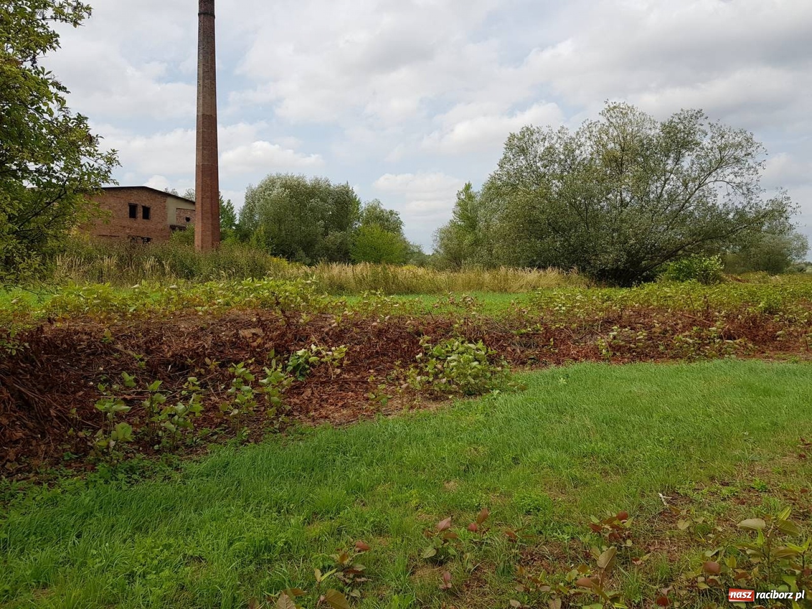 Zdjęcie w galerii na portalu naszraciborz.pl: A po cholerę! Radni o braku poszanowania dla pana Mieczysława!  wiadomości z regionu
