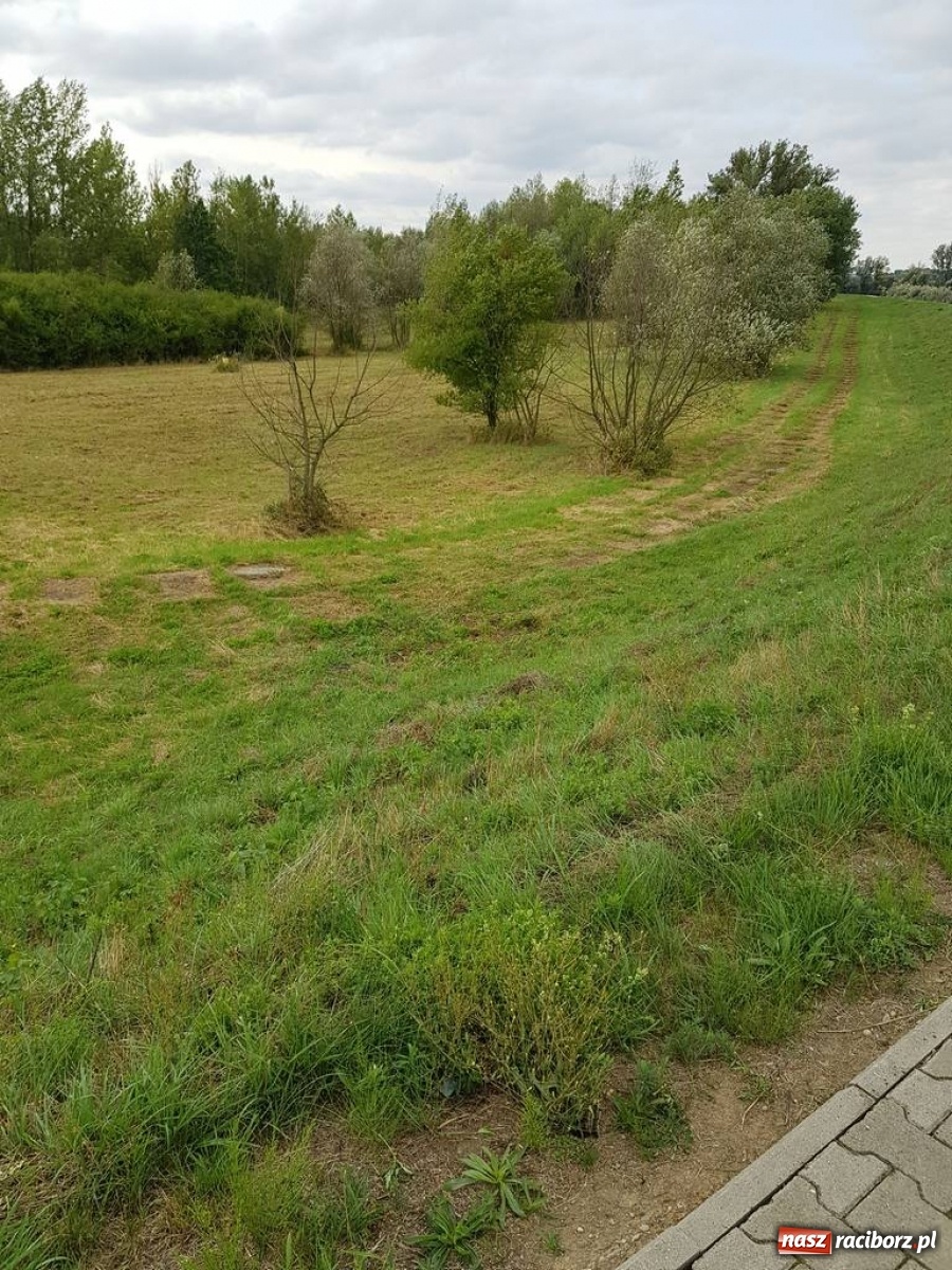 Zdjęcie w galerii na portalu naszraciborz.pl: A po cholerę! Radni o braku poszanowania dla pana Mieczysława!  wiadomości z regionu